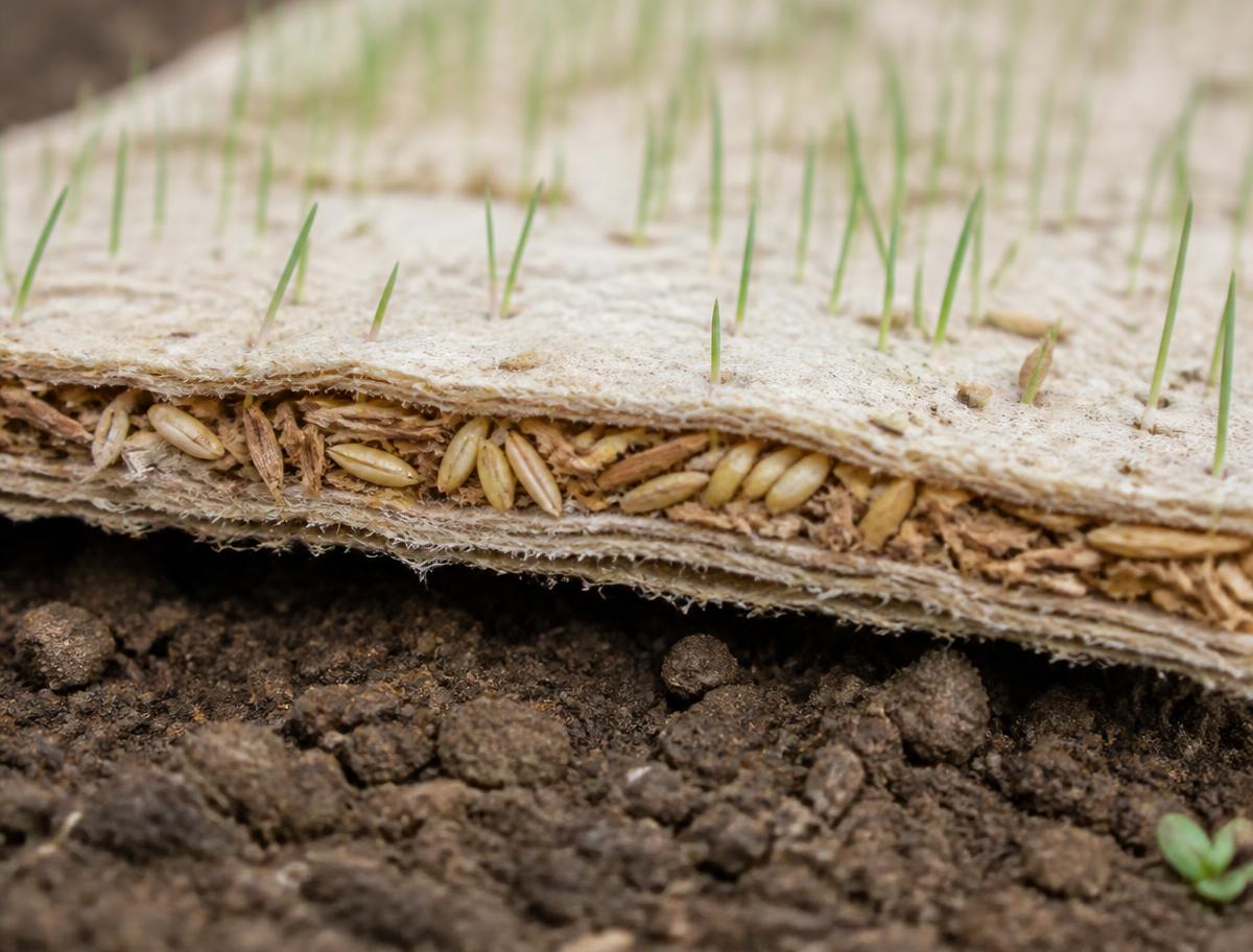 Macro shot of grass seed set into the biodegradable carrier fabric